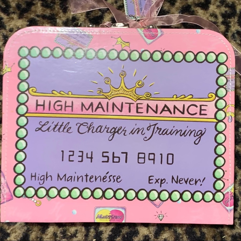 DONATED** High Maintenance Mud Pie DecorativeStorage - Picture 2 of 16